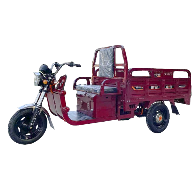 Электрический грузовой трехколесный велосипед Fengri с простым навесом