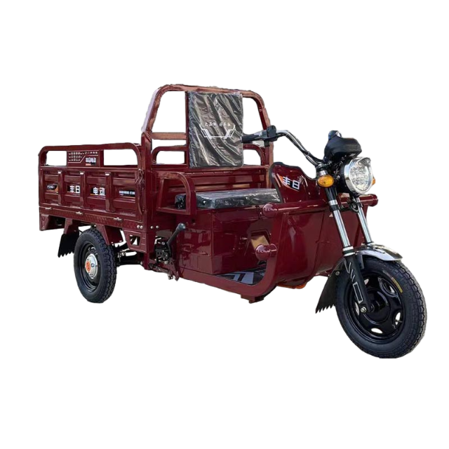 Электрический грузовой трехколесный велосипед плоского типа серии Dragon с дешевой ценой