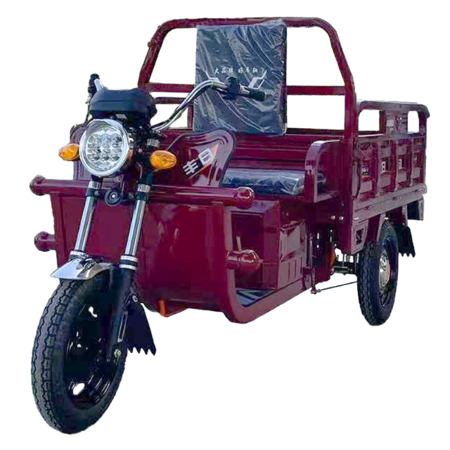 Электрический грузовой трехколесный велосипед Fengri с простым навесом